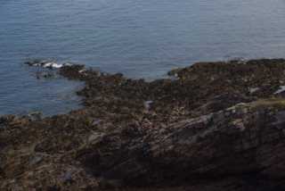 DSC_4795.JPG