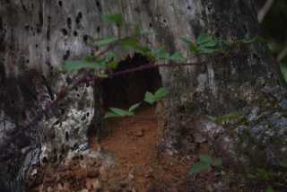 DSC_4807.JPG