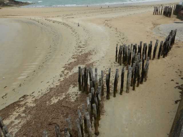 DSCN1408.JPG