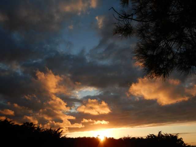 DSCN1434.JPG