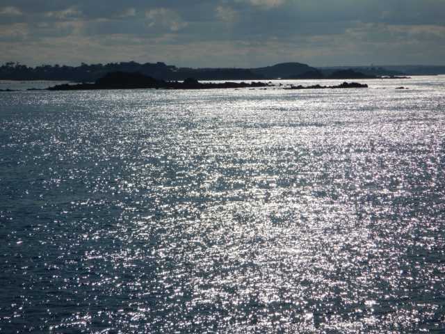 DSCN1555.JPG