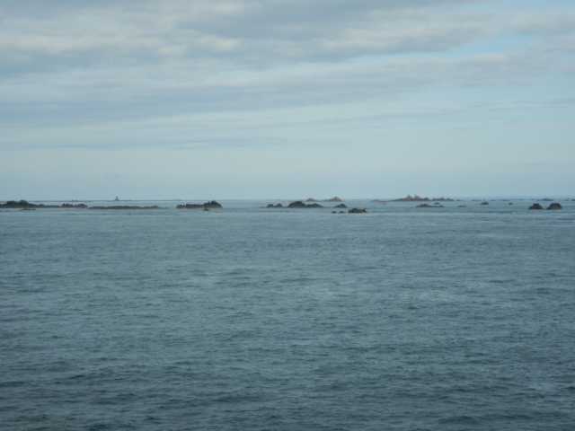 DSCN1568.JPG