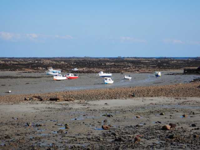 DSCN1710.JPG