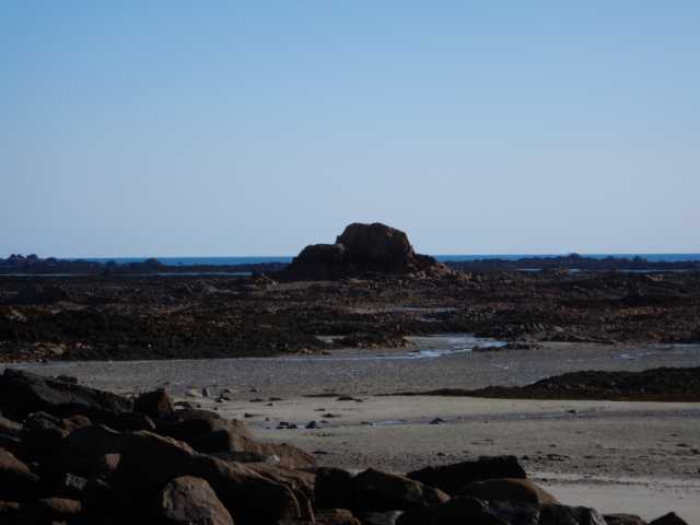 DSCN1713.JPG