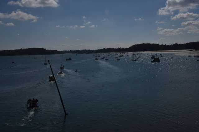 DSC_4711.JPG