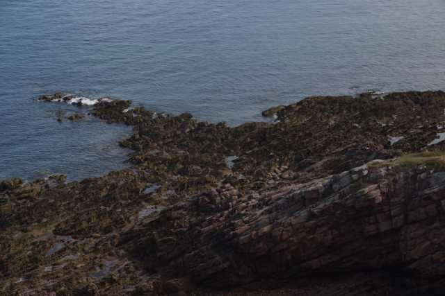 DSC_4795.JPG