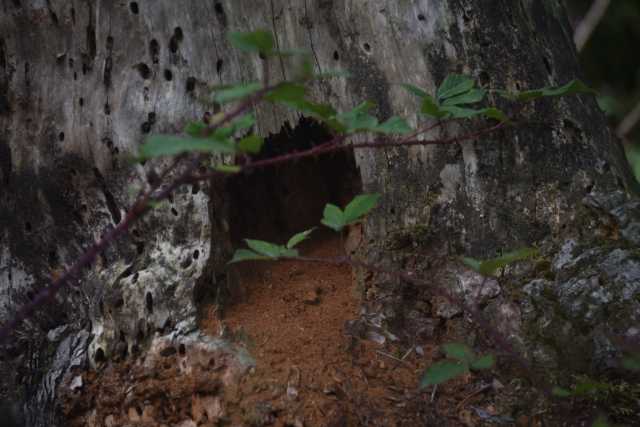DSC_4807.JPG