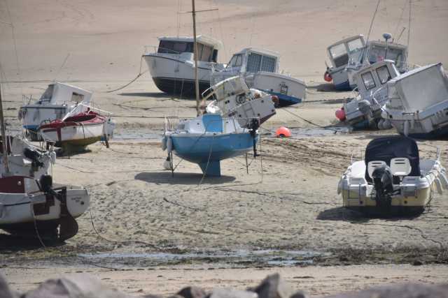 DSC_4860.JPG