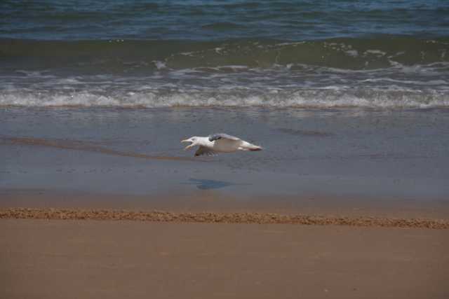 DSC_4882.JPG