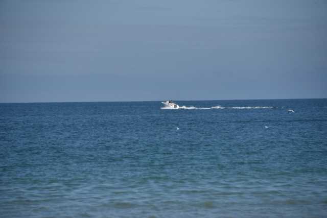 DSC_4905.JPG