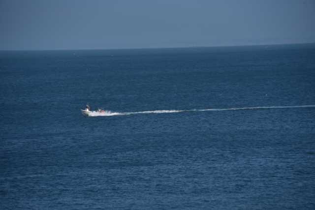 DSC_4948.JPG