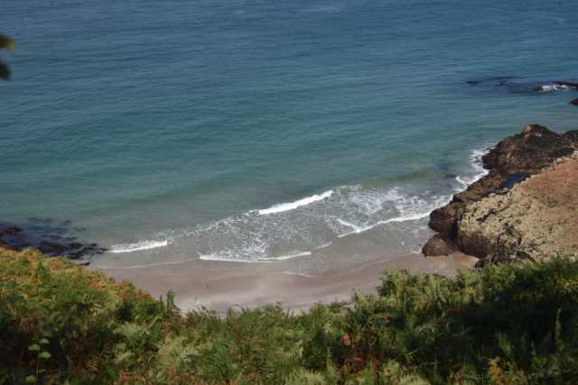 DSC_4986.JPG