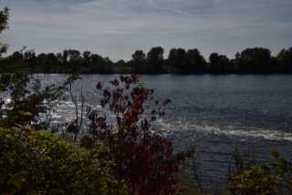 DSC_5449.JPG