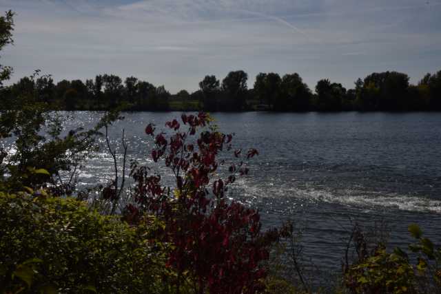 DSC_5449.JPG