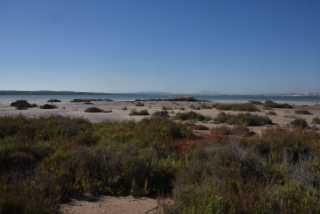 DSC_5804.JPG