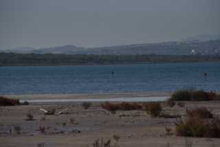 DSC_5805.JPG
