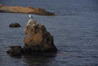 DSC_5931.JPG
