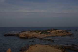 DSC_5952.JPG