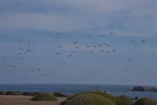 DSC_6017.JPG