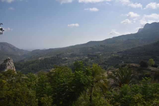 DSC_5613.JPG