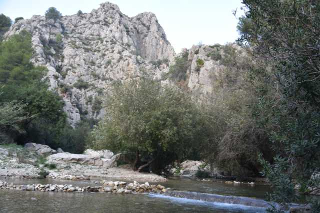 DSC_5694.JPG