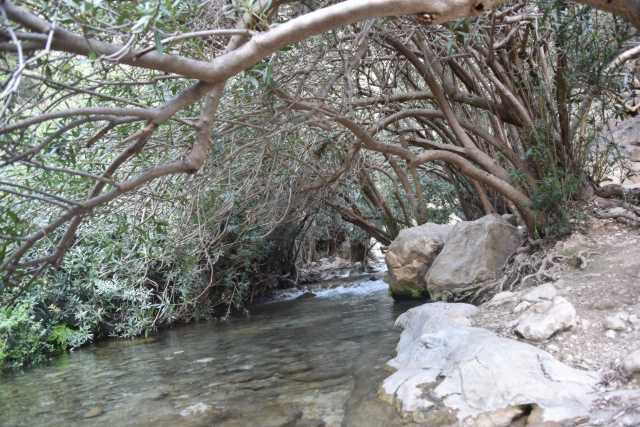 DSC_5699.JPG