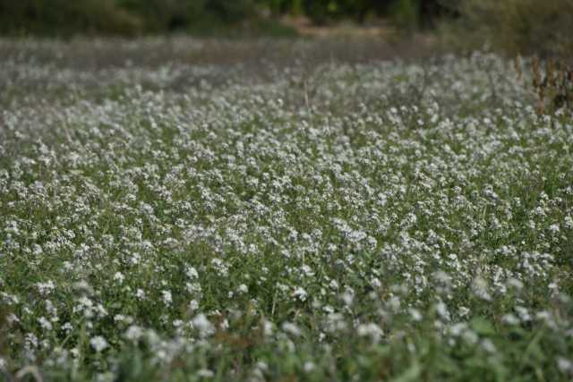 DSC_5755.JPG