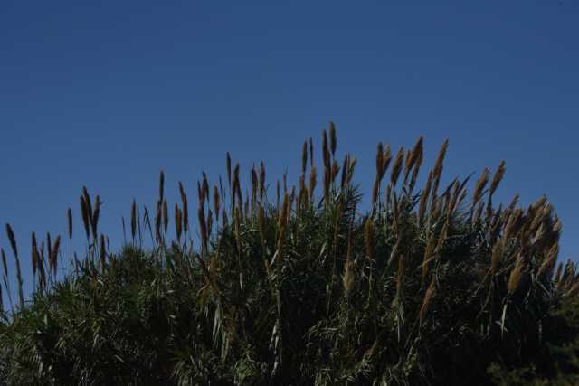DSC_5758.JPG