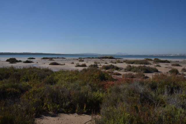 DSC_5804.JPG