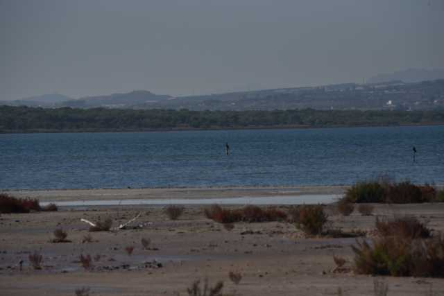 DSC_5805.JPG