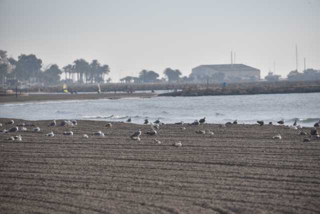 DSC_5819.JPG