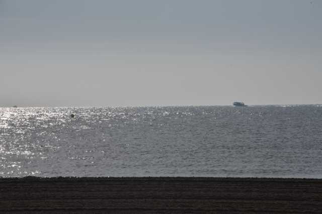 DSC_5823.JPG