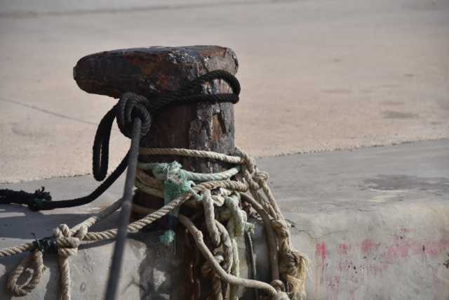 DSC_5831.JPG