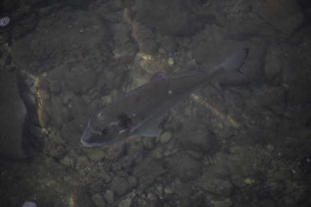 DSC_5925.JPG