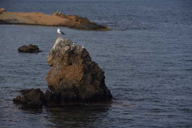 DSC_5931.JPG