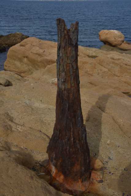 DSC_5937.JPG