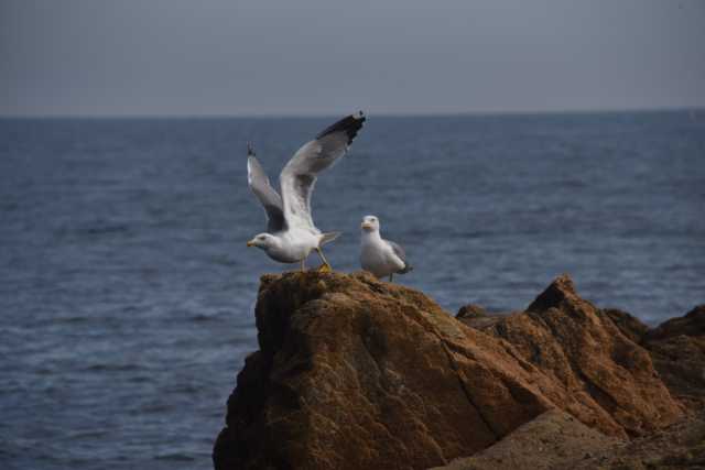 DSC_5940.JPG
