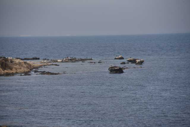 DSC_5948.JPG
