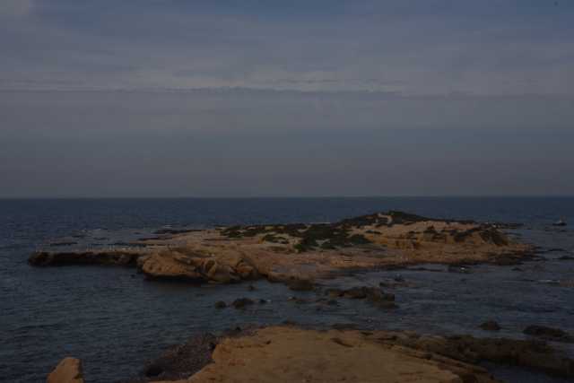 DSC_5952.JPG