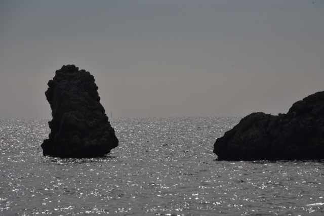 DSC_5961.JPG