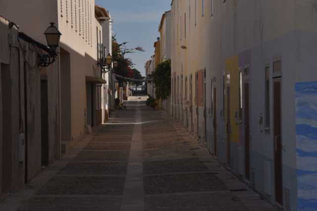 DSC_5979.JPG