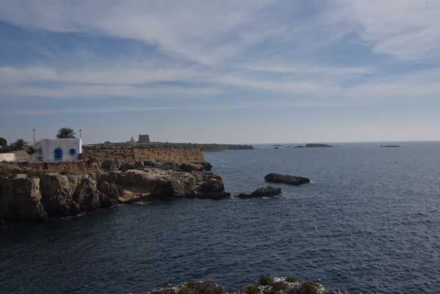 DSC_5981.JPG