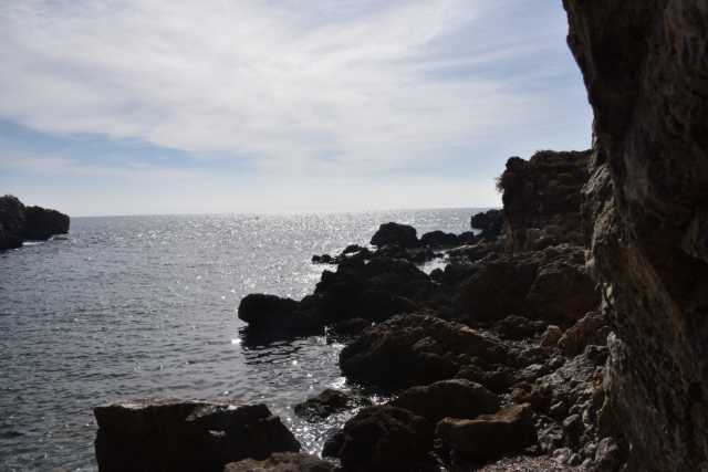 DSC_5990.JPG