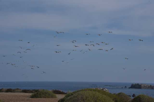 DSC_6017.JPG
