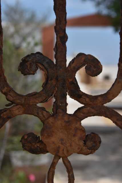 DSC_6020.JPG