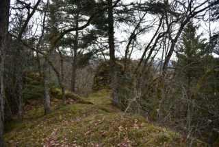 DSC_6341.JPG