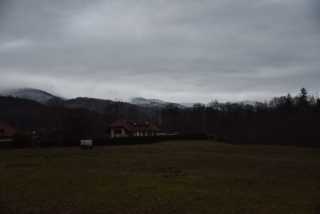 DSC_6347.JPG