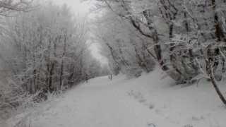 IMG_20190107_130937.jpg