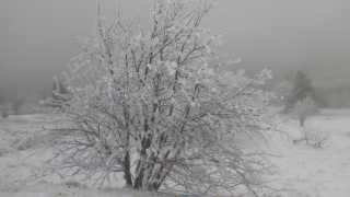 IMG_20190107_131251.jpg