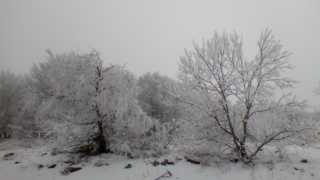 IMG_20190107_131639.jpg